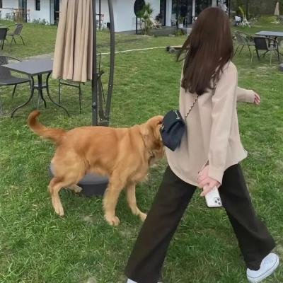 我的妈妈是校花